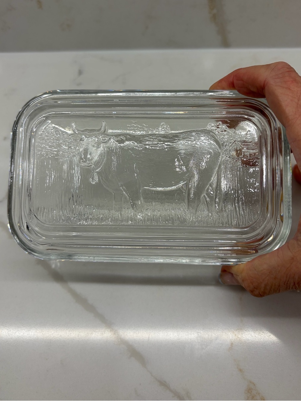 Vintage Embossed Cow in Pastoral Scene Butter Dish Clear Glass Ribbed Bottom